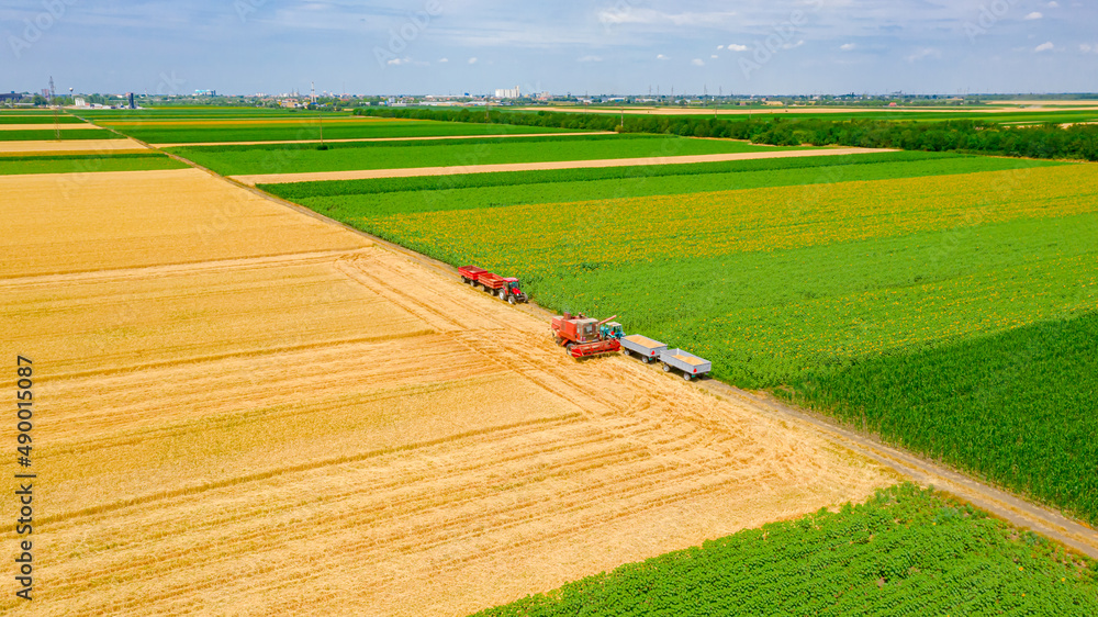 Obraz premium Above view on combine as taking position for transferring freshly harvested cereal into trailer