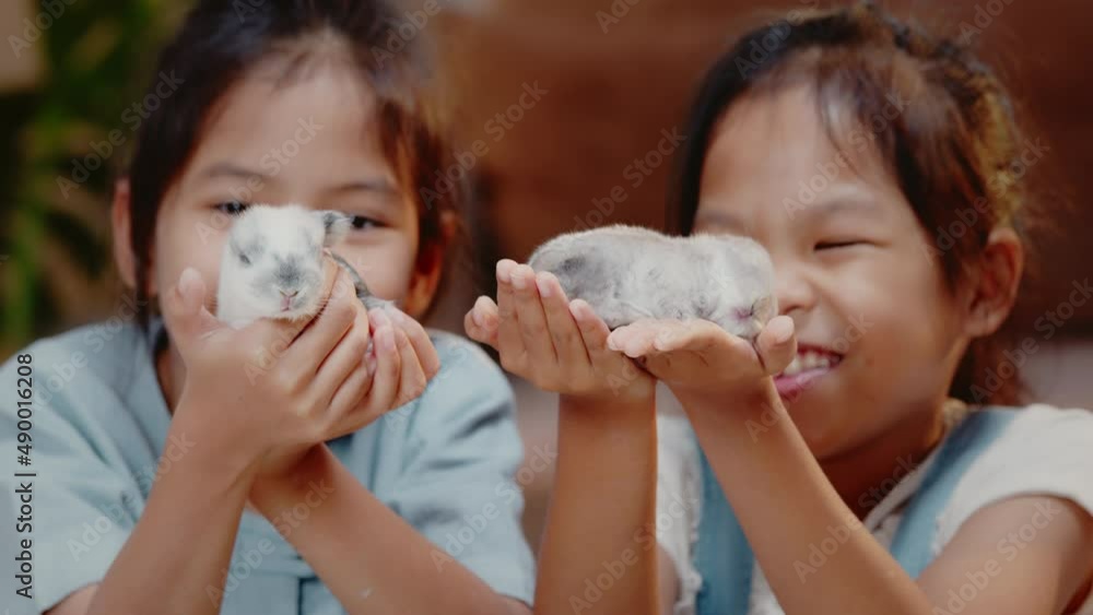Asian siblings children are playing with baby bunny