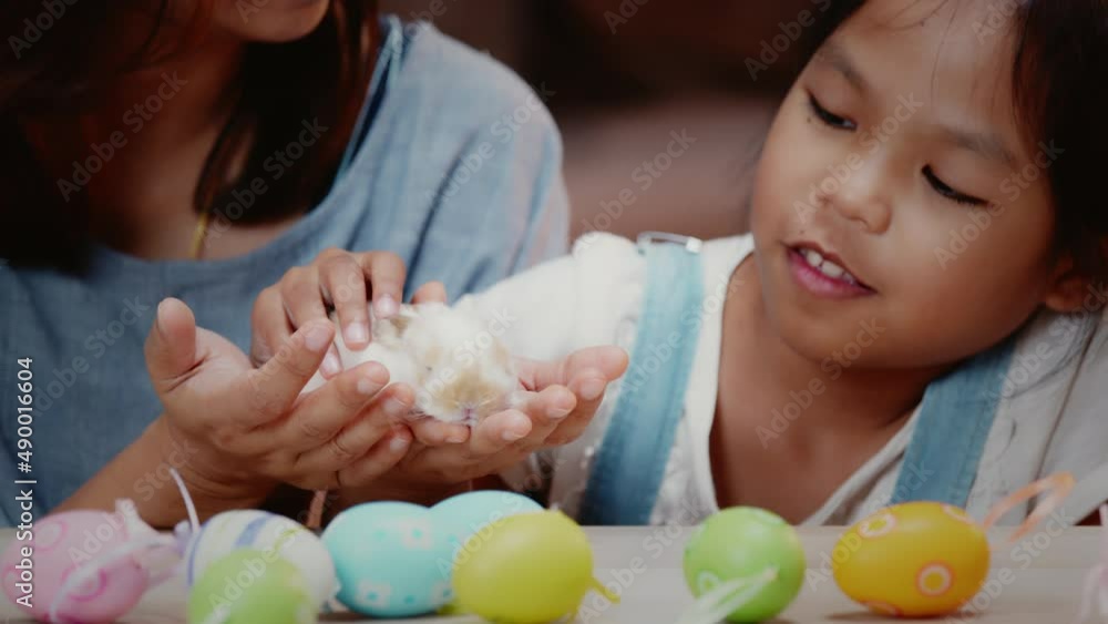 Mother and daughter are playing with baby bunny Stock ビデオ | Adobe Stock 