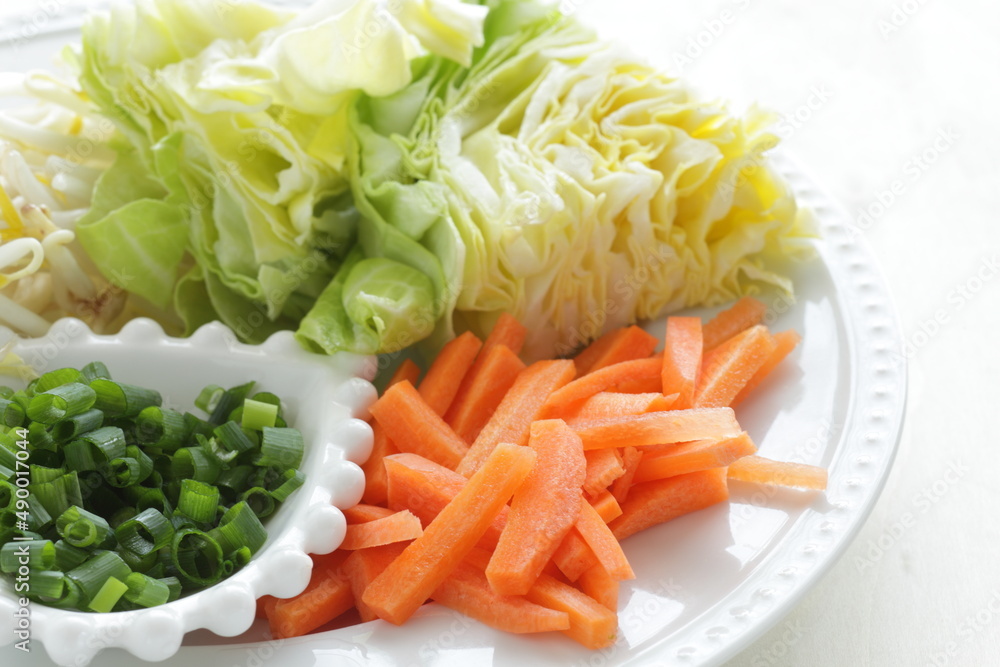 prepared carrot, cabbage and spring onion for Chinese cooking ingredient prepared carrot, cabbage and spring onion for Chinese cooking ingredient