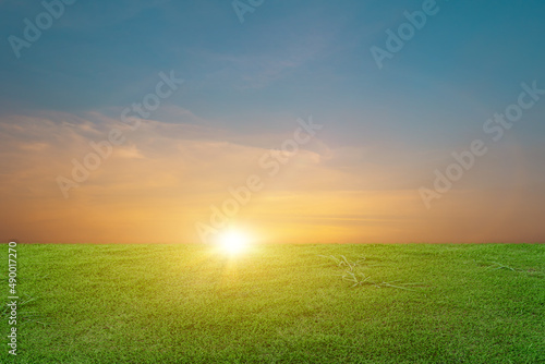 Green grass field at beautiful sunset sky background. rural landscape