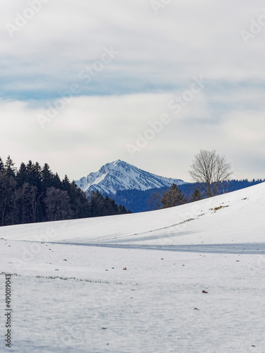 Gmund am Tegernsee am Nordufer des Tegernsees in Oberbayern mit Blick auf das schneebedecktes Massiv von Baumgartenschneid aus Osterberg, Wiesen und Weiden im Winter photo