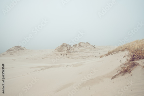 Fototapeta Naklejka Na Ścianę i Meble -  Desert sand dunes. Moving dunes of Łeba.