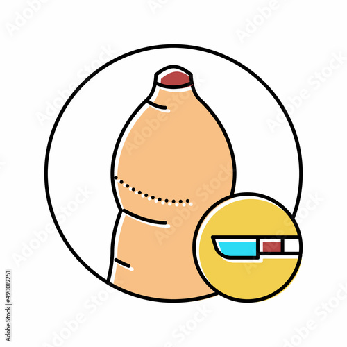 phimosis disease color icon vector illustration