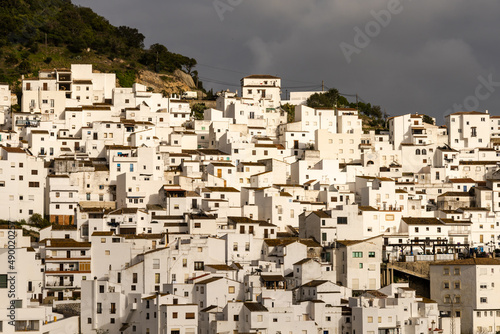 detail view of the whitewashed houses in the village of Casares in Andalusia © makasana photo