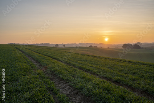 Sunrise over a green farmland © Mike Mareen