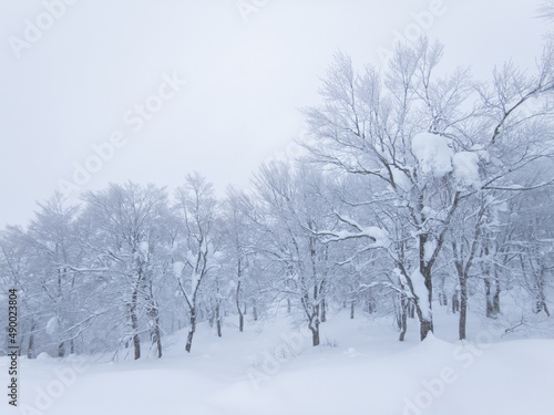 Frozen trees in a snowy mountain (Zao-onsen ski resort, Yamagata, Japan) © Mayumi.K.Photography