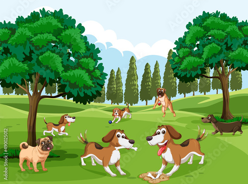 Many dogs playing in the park