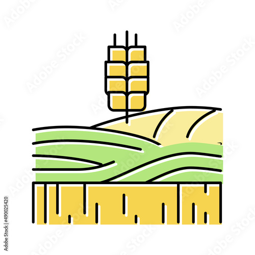 wheat growth field color icon vector illustration