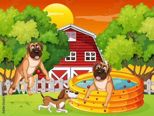 Many dogs playing in the park