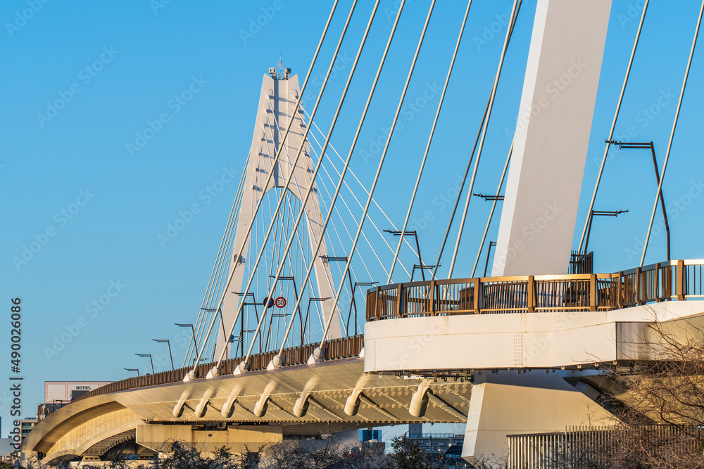 Obraz premium 大師橋【神奈川県・川崎市-東京都・大田区】