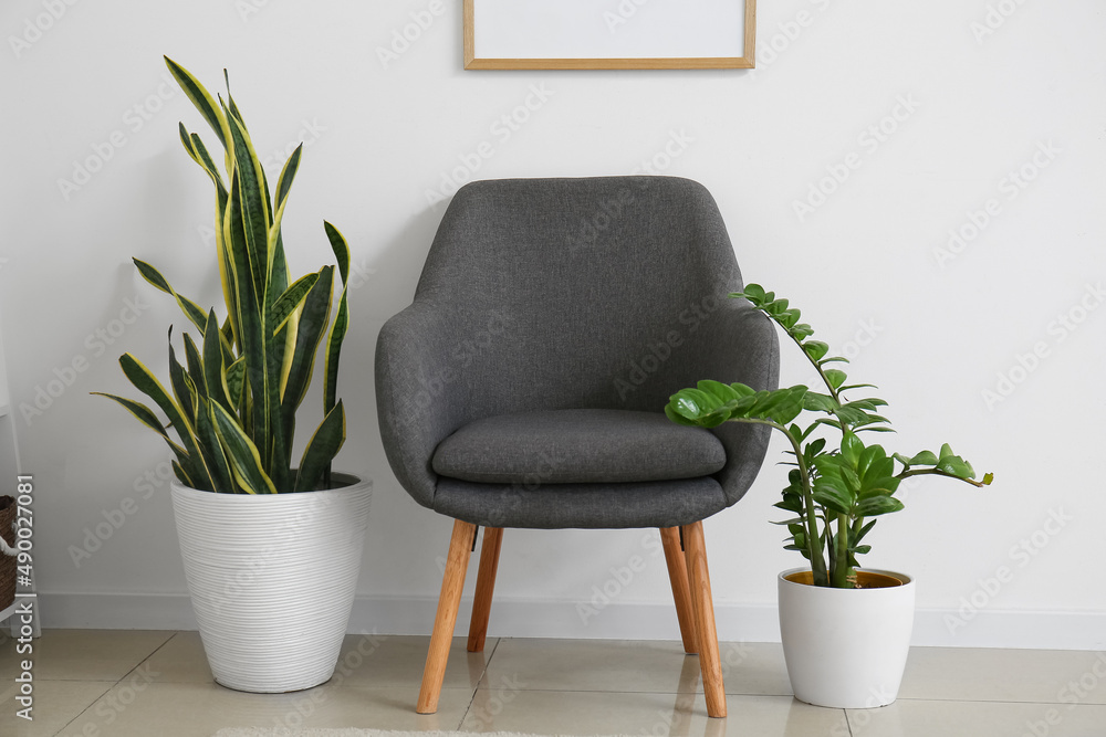 Comfortable armchair and houseplants near white wall