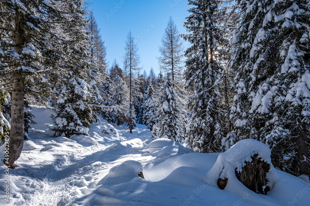 Trentino, escursione sulla neve Trentino, escursione sulla neve