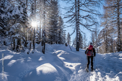 Trentino, escursione sulla neve #490027892