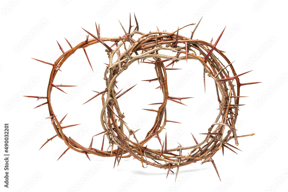 Fototapeta premium Crowns of thorns on white background