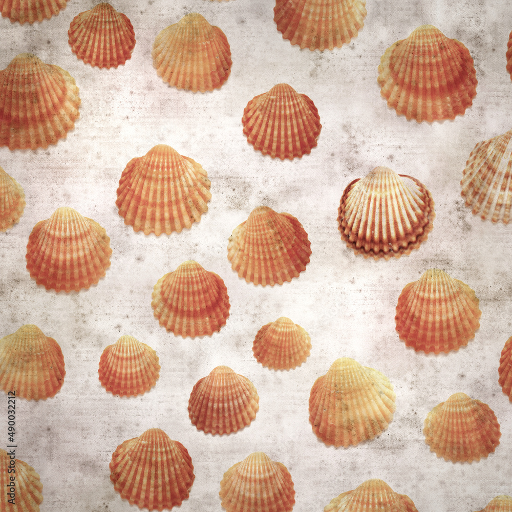 stylish textured old paper background with cockle shells stylish textured old paper background with cockle shells