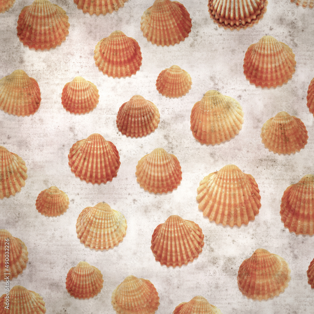 stylish textured old paper background with cockle shells stylish textured old paper background with cockle shells