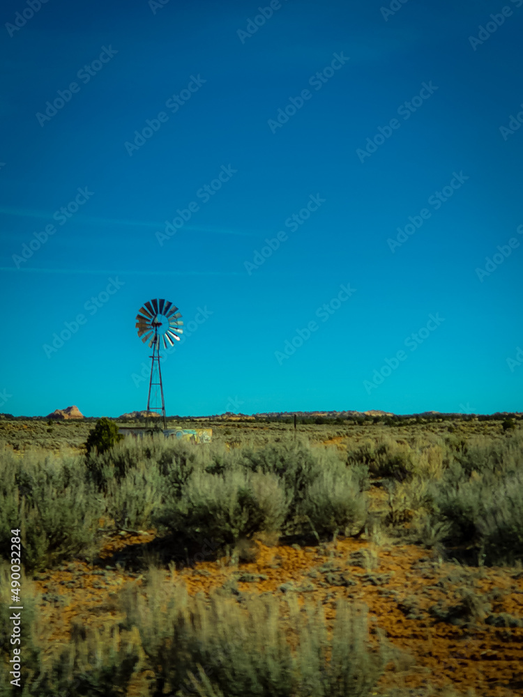 Fototapeta premium tree in the desert