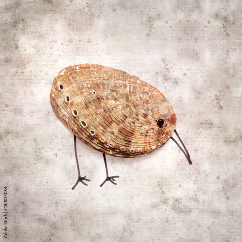 stylish textured old paper background with funny little birds made of a green ormer shell photo