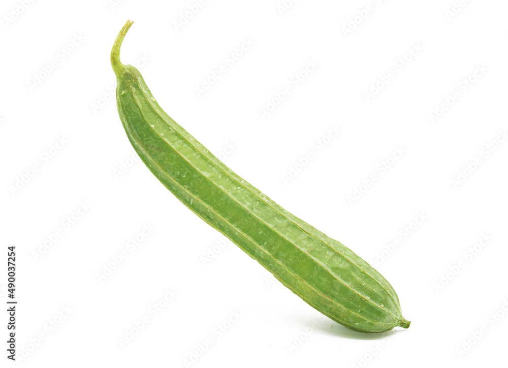 single Angled luffa or Ridge gourd (Ribbed Gourd) isolated on white background. single Angled luffa or Ridge gourd (Ribbed Gourd) isolated on white background.