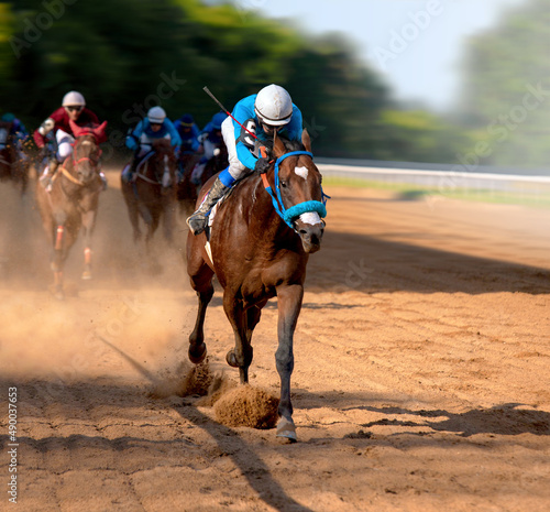 Foto Galloping race horses in racing competition