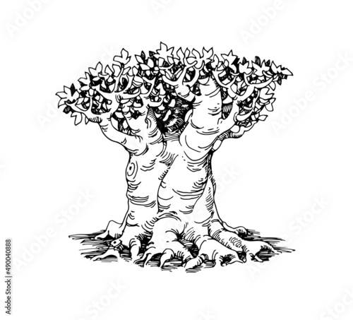 Baobab, a thick African elephant tree. Vector illustration with contour lines in black ink isolated on a white background in a doodle and hand drawn style. photo