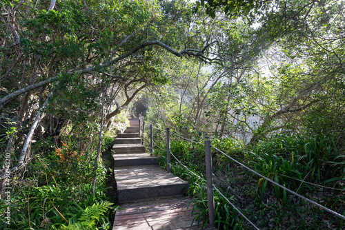 Der Wanderweg des Mouth Trail führt durch den Tsitsikamma Nationalpark in Südafrika und besteht größtenteils aus Holzstegen, welche durch den Regenwald an der Küste des Indischen Ozeans führen photo