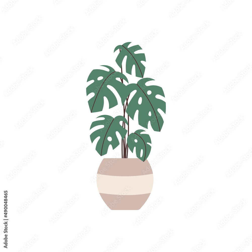 Hand drawn home plant element for your design Hand drawn home plant element for your design