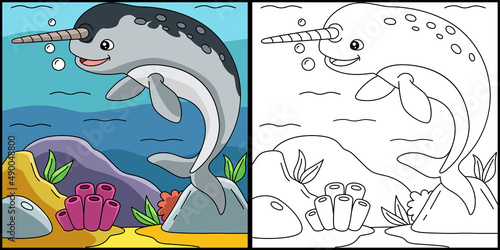 Narwhal Coloring Page Colored Illustration