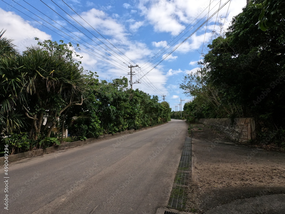 石垣島の農道、沖縄