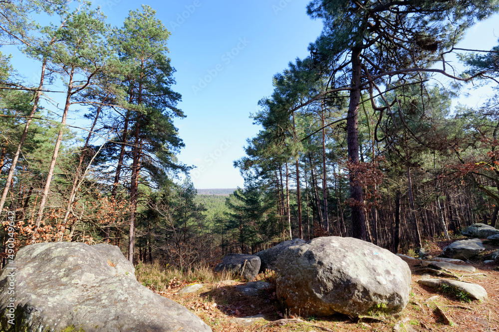 Hill of the Apremont gorges in Fontainebleau forest