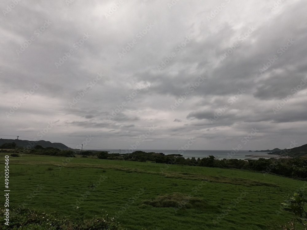 Obraz premium 石垣島の草原、沖縄