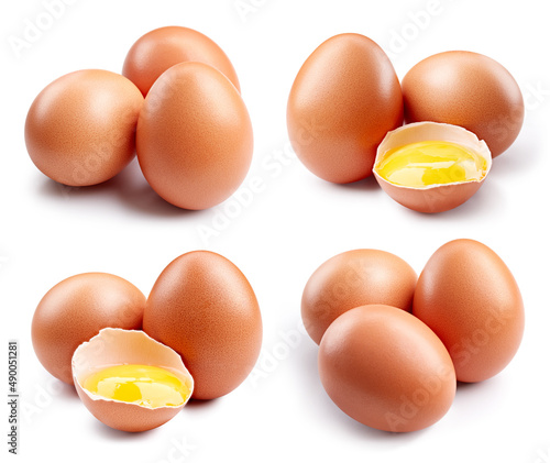 Eggs collection. Brown egg isolated on white background. Egg set