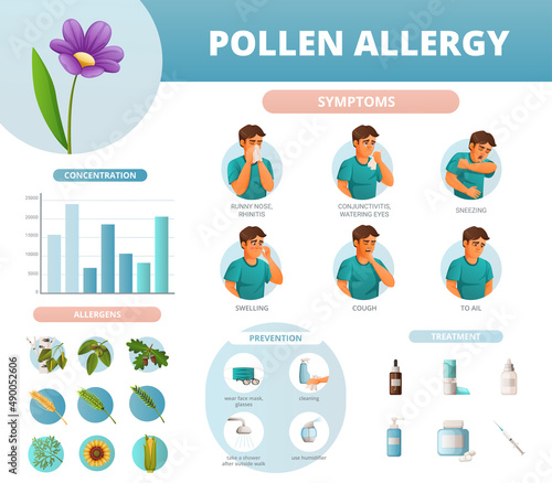 Pollen Allergy Infographics