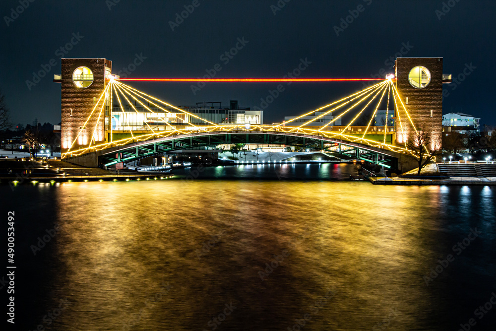 Obraz premium 夜の環水公園