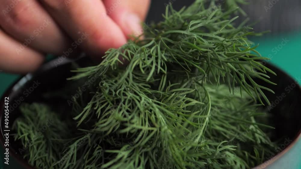 the dill is finely cut off and placed in a bowl.France.fresh dill is
