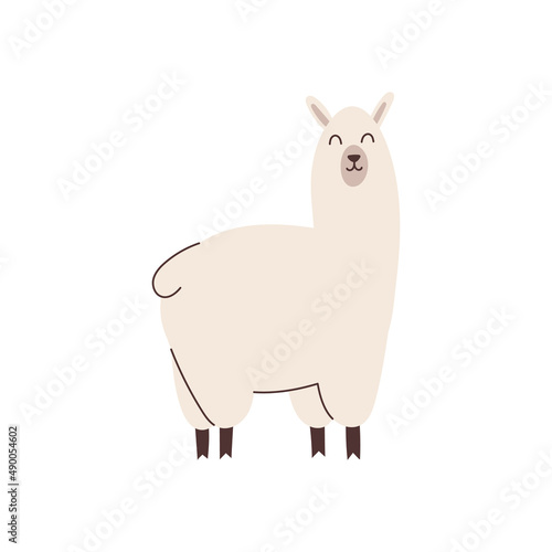 Hand drawn llama element for your design