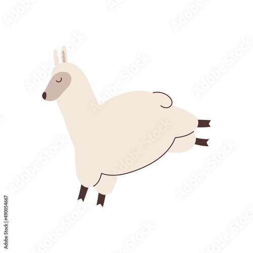 Hand drawn llama element for your design