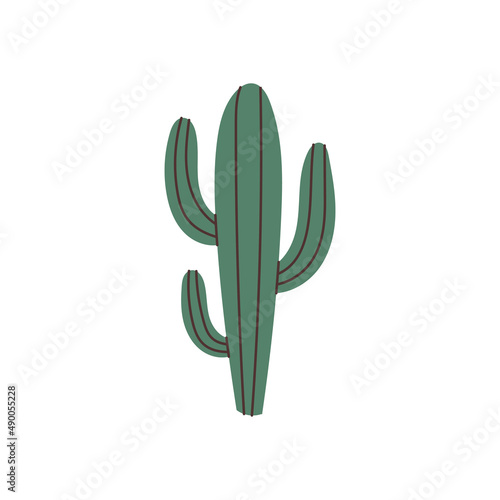 Hand drawn cactus element for your design