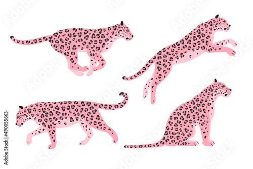 Vector set of flat pink leopard isolated on white background