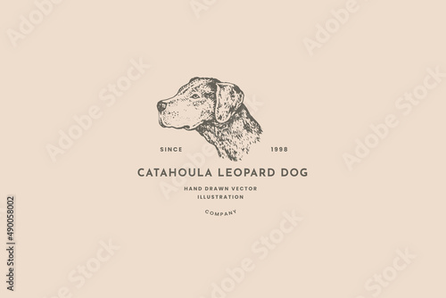 Emblem with the head of a Catahoula leopard dog breed. Logo template with a hunting dog in the style of vintage engraving. Vector vintage illustrations on a light background.