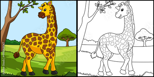 Giraffe Coloring Page Colored Illustration