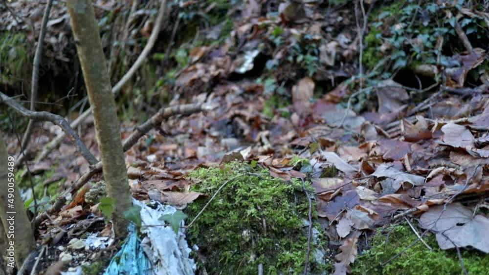 environmental pollution, old wastes and garbage in the nature environmental pollution, old wastes and garbage in the nature