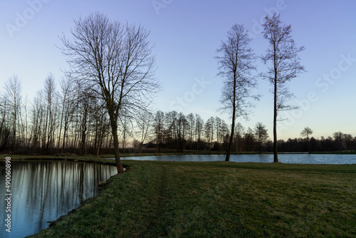 reflection on pond