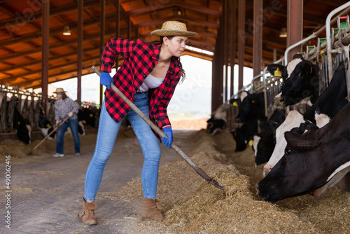 Confident pretty female farmer working in stall, feeding cows with hay