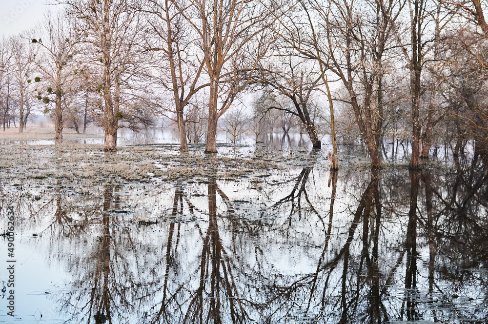 Photo of a river that overflowed its banks when the snow melted. Early spring. Trunks and branches of bare trees. Sunset. Landscape in the off-season in Ukraine. Reflection in water. Photo of a river that overflowed its banks when the snow melted. Early spring. Trunks and branches of bare trees. Sunset. Landscape in the off-season in Ukraine. Reflection in water.