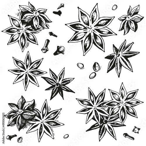 Collection of hand-drawn anise stars. Vector set sketches with spices. Vintage style engraving