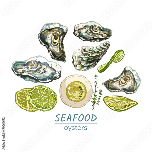 310_oyster_set of oysters, oil, sauce, thyme, lime, lemon, detailed natural drawing of fresh seafood