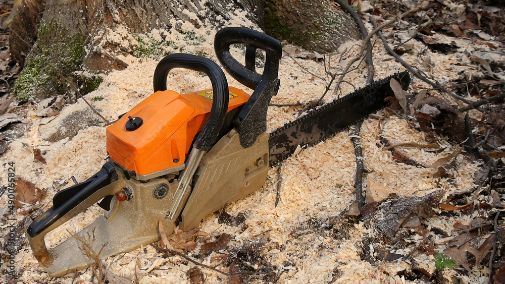 Chainsaw on the ground in the woods surrounded by sawdust. 