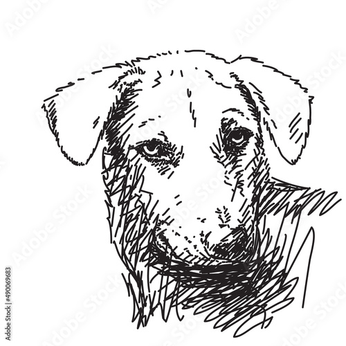 Sketch of dog portrait Hand drawn vector illustration
